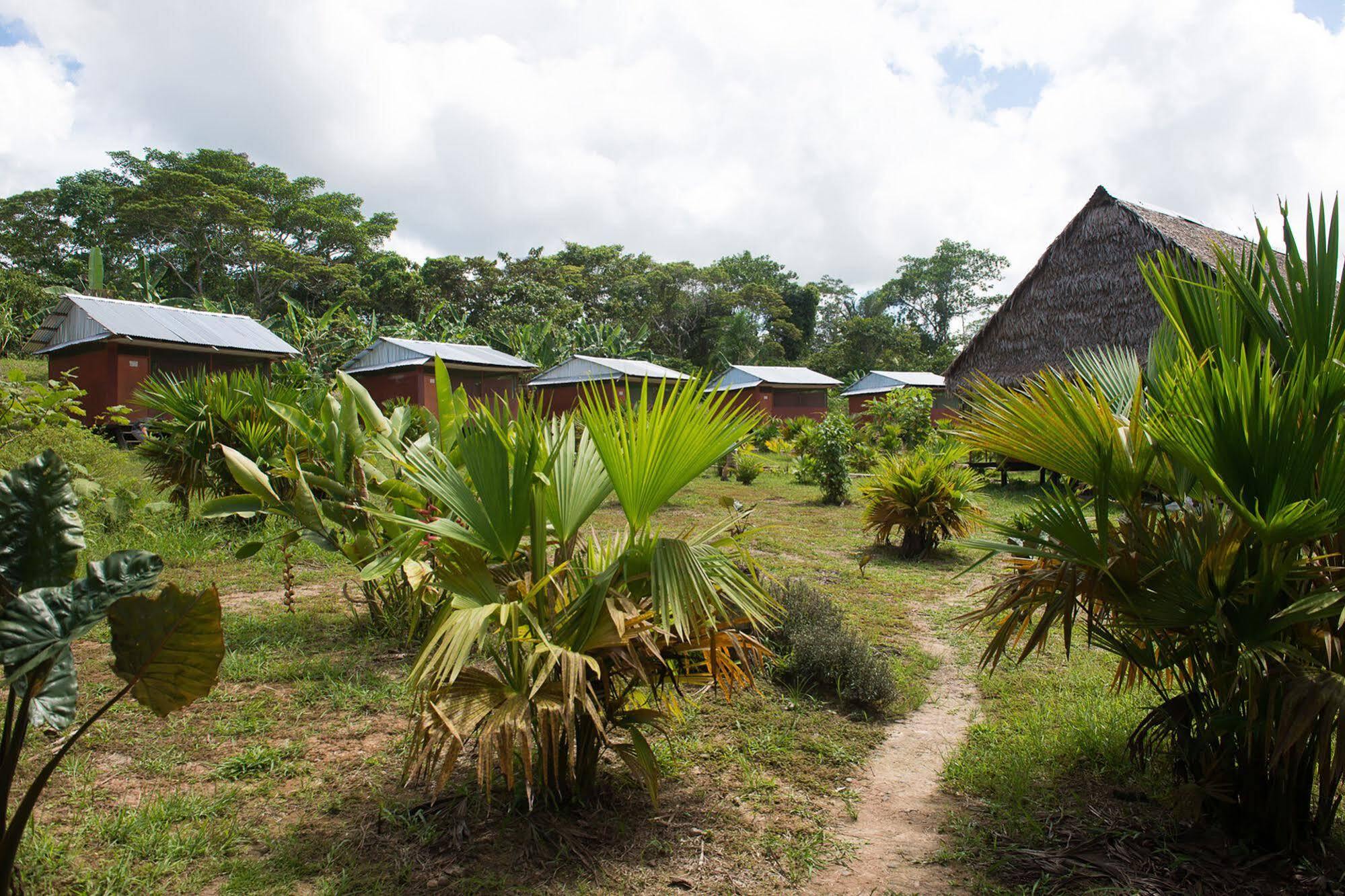 Maniti Expeditions Eco Lodge 伊基托斯 外观 照片